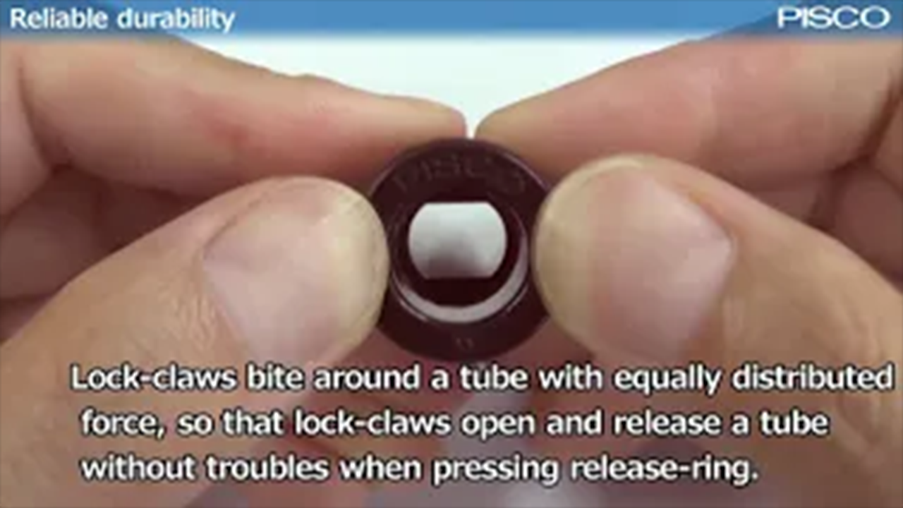 OV PISCO DURABLE VIDEO - KC TPS